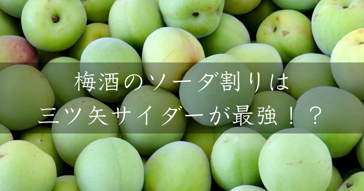 梅酒のソーダ割りは三ツ矢サイダーが最強！？お勧めの割り方を紹介