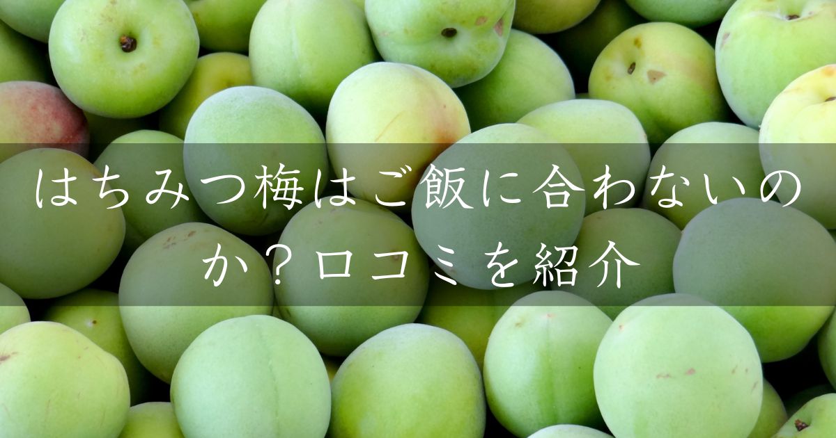 はちみつ梅はご飯に合わないのか？口コミやおススメレシピを紹介